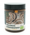 MYQO Coriolus BIO Wrośniak Różnobarwny Ekstrakt w Proszku 30% 100g PROSZEK