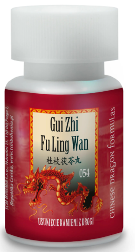 T054 Gui Zhi Fu Ling Wan Chińskie Zioła 054 200kulek Mięśniaki Torbiele